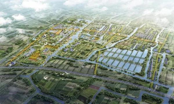 上海湾区丨打造“水木栖谷、滨海绿廊”，金山这里的未来勾画了新蓝图→