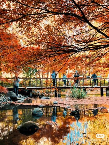 公园里的欢乐时光? 公园里的欢乐时光?