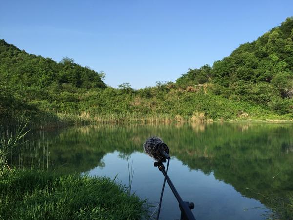 杭州西湖区联合喜马拉雅打造自然声音名片 推出专辑《聆听西湖-自然之声》