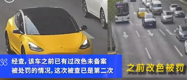 车身贴满向日葵？上海一男子被罚500元，民警：已不是初犯！