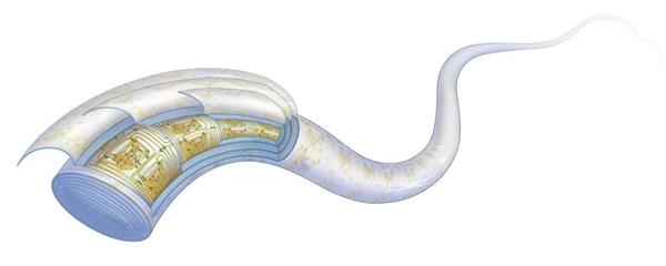 复旦团队重大突破 世界首款纤维芯片问世:大规模集成电路 卡车碾压也不怕