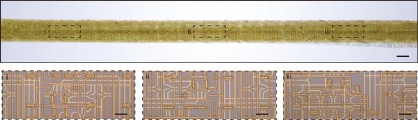 复旦团队重大突破 世界首款纤维芯片问世:大规模集成电路 卡车碾压也不怕