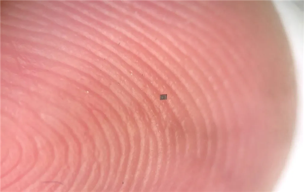 科学家造出全球最小自主机器人！比一粒盐还小 成本仅需一美分