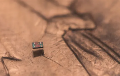科学家造出全球最小自主机器人！比一粒盐还小 成本仅需一美分