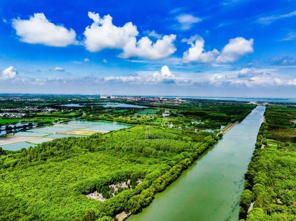 DJI_20240821095008_0058_D.jpg