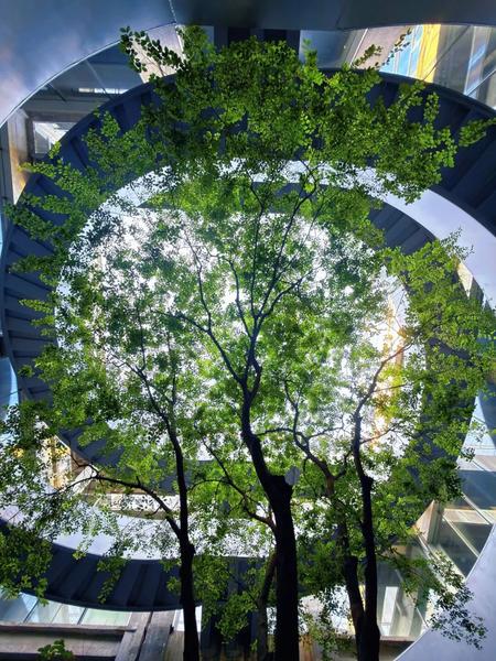 微信图片_2026-05-19_094829_876.jpg
