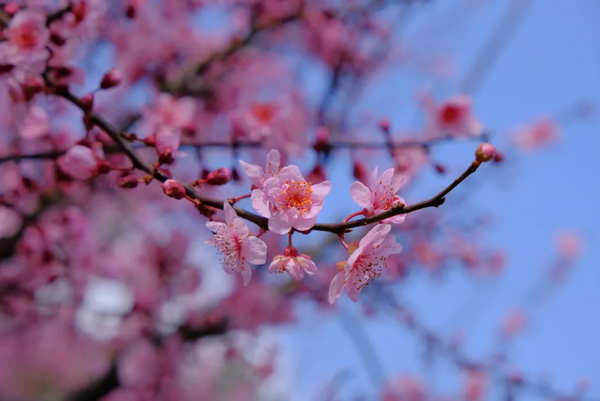 b7c93dda8050154934afcaec907d5ebd.png